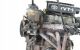 Motor 1SZFE Toyota Yaris I 1.0i 16V (68 cv)