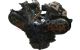 Motor 204dty Land Rover RANGE ROVER EVOQUE (L551) 2.0 D200 MHEV 4x4 (204 cv)