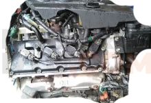 Motor 2067484826 Nissan Cima (F50) 4.5 i V8 32V (280 cv)