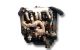 Motor 230 A2.000 Fiat Ducato Autobús (230_) 1.9 D Combinato (69 cv)