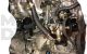 Motor 270557B Nissan Liberty (M12) 2.0 i 16V (147 cv)