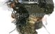 Motor 306D2 Bmw Serie 3 (E46) 323i (170 cv)