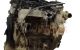 Motor 3DN12AB01 Nissan Patrol GR II (Y61) 4.2 TD (160 cv)