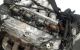 Motor 4G93 (GDI) Mitsubishi Carisma 1.8 16V GDI (122 cv) Automatico