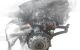 Motor 55263624 Jeep Compass II 1.4 MultiAir (140cv)