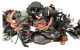 Motor 5AQ 605 Renault Zoe R90 22 kWh (90 cv)