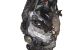 Motor 5FW(EP6) Citroen C4 L sedan (Fase I, 2012) 1.6 VTi 16V (120 cv) Automatico