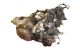 Motor 640940 Mercedes Benz Clase A (W169) A 200 CDI (140 cv)