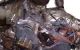 Motor 6g72 Mitsubishi Diamante II 2.5 i V6 24V GDI (200 cv)