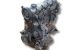 Motor 8140.67.2500 Renault Trafic Autobús (TXW)  2.5 D (75 cv)
