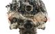 Motor 8GM602A Chevrolet Tahoe (GMT900) 5.3 i V8 (324 cv)