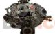 Motor 99L Ford Excursion 5.4 (263 cv) 4WD Automatico