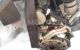 Motor A 20 DTH Opel Insignia Country Tourer 2.0 CDTI (130 cv) Ecotec