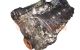 Motor a24xer Opel Combo Tour D 1.4 (95 cv) Twinport Ecotec