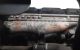 Motor AJM Audi A4 (B5) Versión 1999 1.9 TDI (116 cv)
