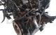 Motor AKU Seat Arosa (6H) 1.7 SDI (60 cv)