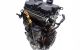 Motor AMF Seat Ibiza IV 1.4 TDI (75 CV)