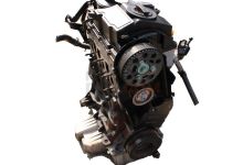 Motor AMF Volkswagen Polo IV (9N3) 1.4 TDI (80 cv) 5-d