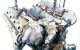 Motor AR 16202 Alfa Romeo GTV II 2.0 i V6 TB (202 cv)