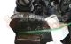 Motor asy Volkswagen Polo III Variant 1.9 TDI (110 cv)