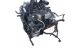 Motor DDYA Audi A3 (8V) Versión 2016 1.6 TDI (110 cv)