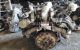Motor BDH Audi A4 Avant (B6 8E) 2.5 TDI V6 (180 cv) quattro