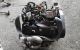 Motor AVG Audi A4 (B5) Versión 1999 1.9 TDI (110 cv)