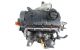 Motor AUY Seat Alhambra Van (7V8,7V9) 1.9 TDI (131cv)