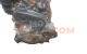 Motor b 4184 sj Volvo S40 (VS) 1.8 16V (115 cv)
