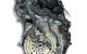 Motor B20B Honda Sm-x (RH) 2.0 i 16V (140 cv)