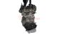 Motor B38 A15 A Bmw Serie 1 (E81) 116d (116 cv)