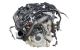 Motor B48 B20 A Bmw Serie 4 Coupe (F32) 420i (184 cv)