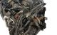 Motor b48b20a Bmw Serie 5 Sedan (G30) 530i (252 cv) Steptronic