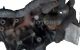 Motor B7DA Ford FOCUS IV 1.0 EcoBoost  (125 CV)