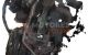 Motor B7DA Ford FOCUS IV 1.0 EcoBoost  (125 CV)