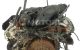 Motor BDV Audi A4 (B6 8E) 2.4i V6 30V (170 cv)