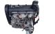 Motor BGU Audi A3 (8P) 1.6i (102 cv)