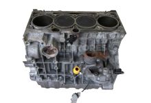 Motor bgu Seat Altea XL (Versión 2009) 1.6 (102 cv) LPG 2009