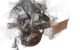 Motor BH02 Citroen C3 II 1.6 e-HDi (92 cv)