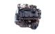 Motor BKC, BXE, BLS Seat Leon II (1P) 1.6 TDI CR (105 cv) DPF Auto DSG