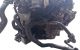 Motor BKD Audi A3 (8P) 2.0 TDI (140 cv)