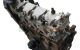 Motor bky Seat Ibiza III 1.4 16V (75 cv) Automatico