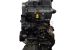 Motor BMS Skoda Fabia II 1.4 TDI (80 cv)