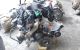 Motor N47D20A  Bmw Serie 1 (E81) 116d (116 cv)