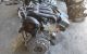 Motor 204D4 Bmw Serie 3 (E46, 2001) 320d (150 cv)