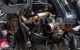 Motor 204D4 Bmw Serie 3 Touring (E91) 320d (163 cv)