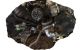 Motor BPK Audi A8 Long (D3, 4E, Versión 2007) 3.2 FSI V6 (260 cv) Multitronic