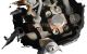 Motor BPP Audi A6 (4F,C6) 2.7 TDI V6 (180 cv) quattro Tiptronic