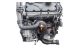 Motor BRU Volkswagen Golf V 1.9 TDI (90 cv)