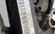 Motor BSE Audi A3 (8P) 1.6i (102 cv)